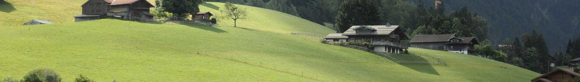 Paryż - Gstaad : wynajem prywatnych odrzutowców 