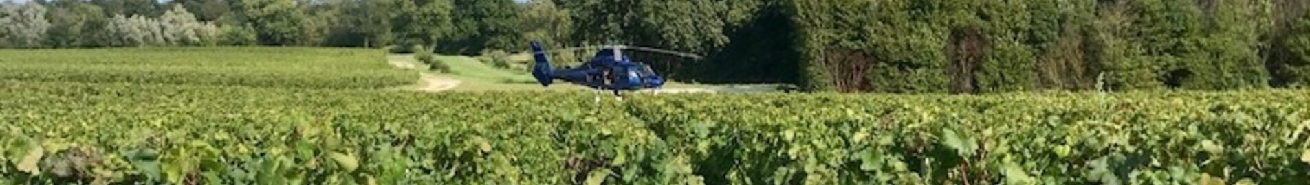 Odkryj winnice za pomocą helikoptera