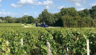 Odkryj winnice za pomocą helikoptera