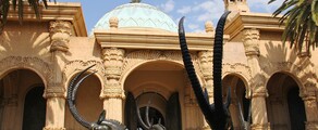 Johannesburg: wynajem prywatnych odrzutowców 