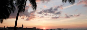 Alger couché de soleil