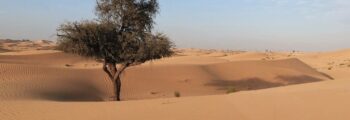 Djerba Zarzis : location de jet privé