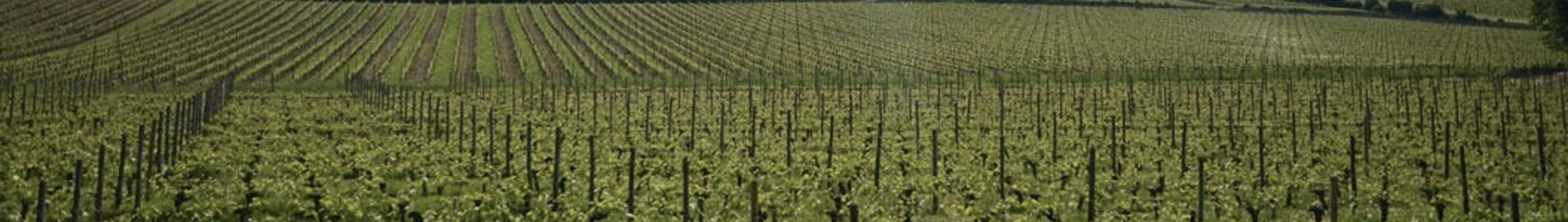 Bordeaux Mérignac: wynajem prywatnych odrzutowców 