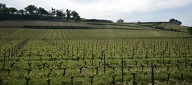 Aubigny Sur Nere : wynajem prywatnych odrzutowców