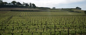 Bordeaux Mérignac: wynajem prywatnych odrzutowców 