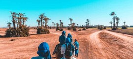 Wynajem prywatnych odrzutowców i helikopterów w Dakhla