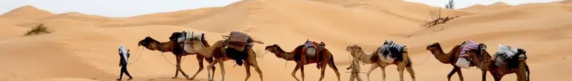 Tunis: wynajem prywatnych odrzutowców