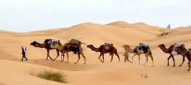 Tunis Kartagina: wynajem prywatnych odrzutowców
