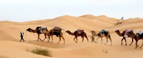 Tunis: wynajem prywatnych odrzutowców