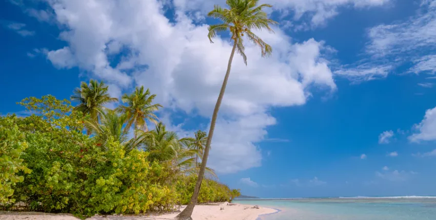 Plage Guadeloupe