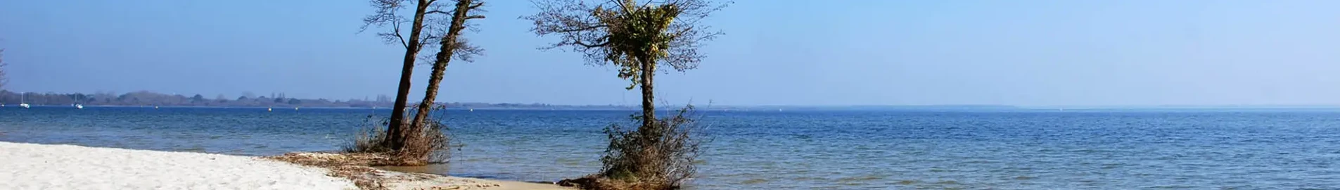Base Aérienne Cazaux: wynajem prywatnych odrzutowców 