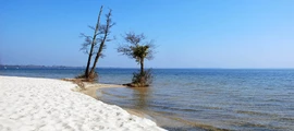 Arcachon, La Teste de Buch, Cap Ferret: wynajem prywatnych odrzutowców