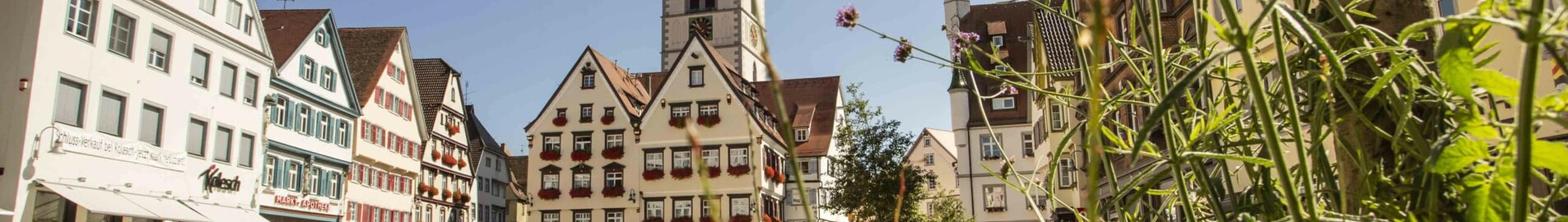 Biberach An Der Riss : wynajem prywatnych odrzutowców 