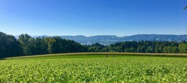 St. Gallen Altenrhein : wynajem prywatnych odrzutowców 