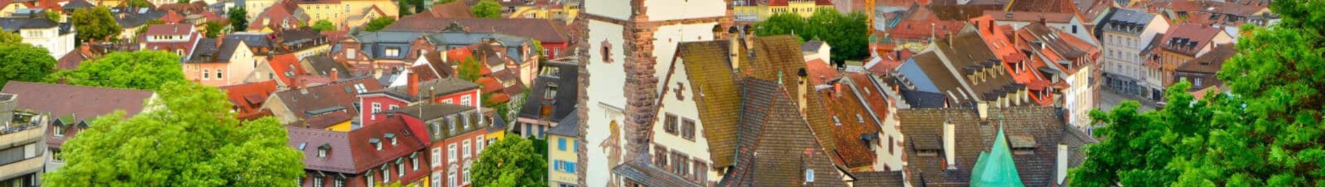 Freiburg-en-Brisgau: wynajem prywatnych odrzutowców 