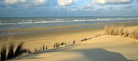 Ursel : wynajem prywatnych odrzutowców 
