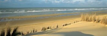 France : location de jet privé
