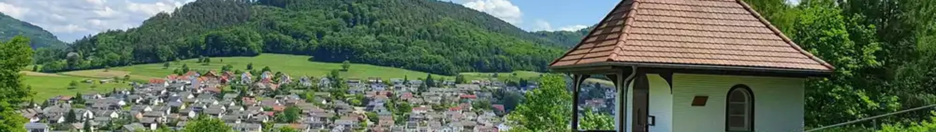 Lahr Black Forest: wynajem prywatnych odrzutowców 