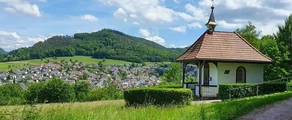 Lahr Black Forest: wynajem prywatnych odrzutowców 