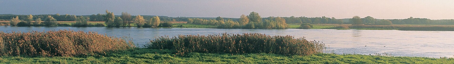 Neuhardenberg Wriezen: prywatna lokalizacja odrzutowca 
