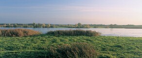 Neuhardenberg Wriezen: prywatna lokalizacja odrzutowca 