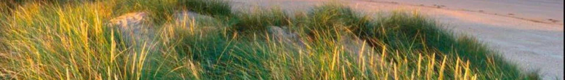 Pembrey: wynajem prywatnych odrzutowców 