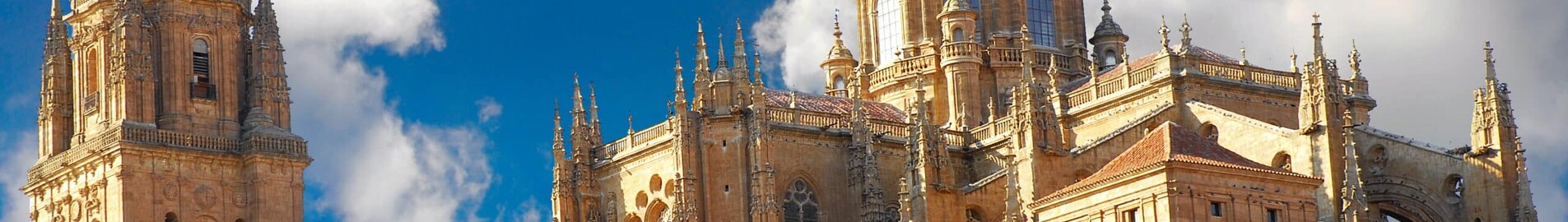 Salamanca Matacan : wynajem prywatnych odrzutowców 