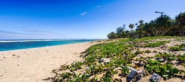 La Réunion: Wynajem prywatnego odrzutowca 