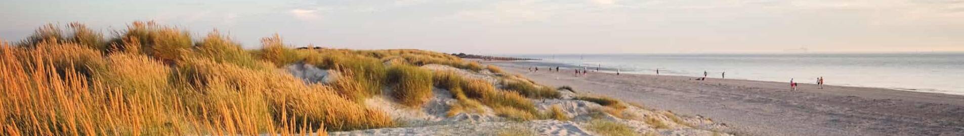 Wittering: wynajem prywatnych odrzutowców 