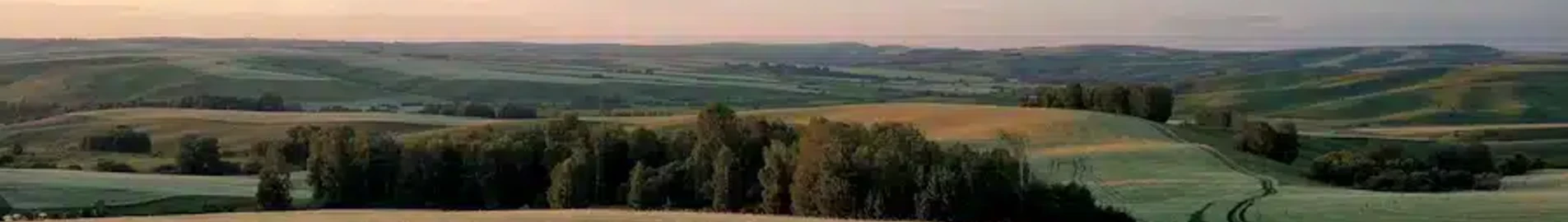 Barnaul : wynajem prywatnych odrzutowców