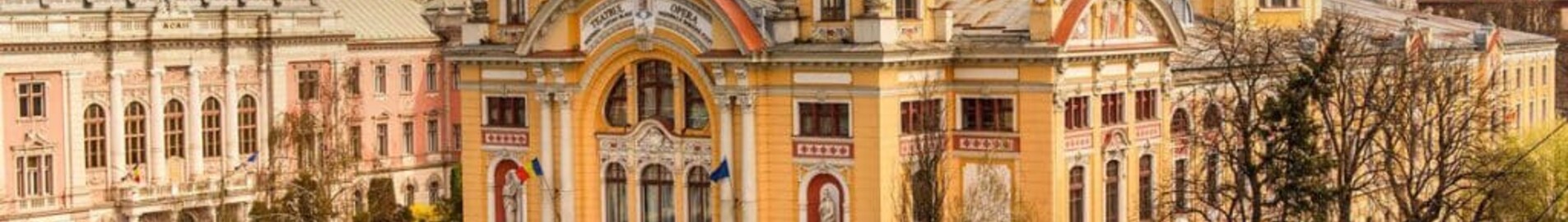Cluj Napoca : wynajem prywatnych odrzutowców 