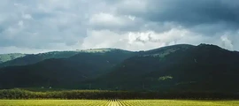 Astrachań Narimanowo: wynajem prywatnych odrzutowców