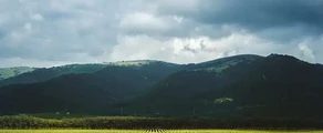 Gelendzhik : wynajem prywatnych odrzutowców