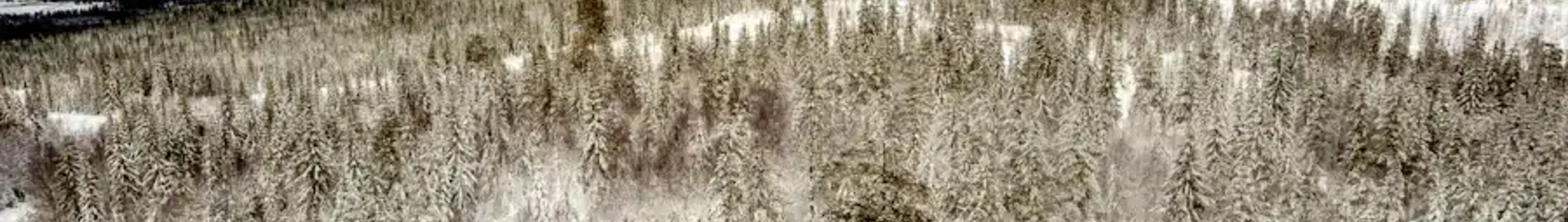 Hagfors : wynajem prywatnych odrzutowców