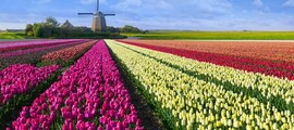 Texel: wynajem prywatnych odrzutowców 