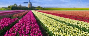 Hoogeveen: prywatna lokalizacja odrzutowca