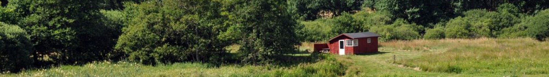 Karup: wynajem prywatnych odrzutowców 