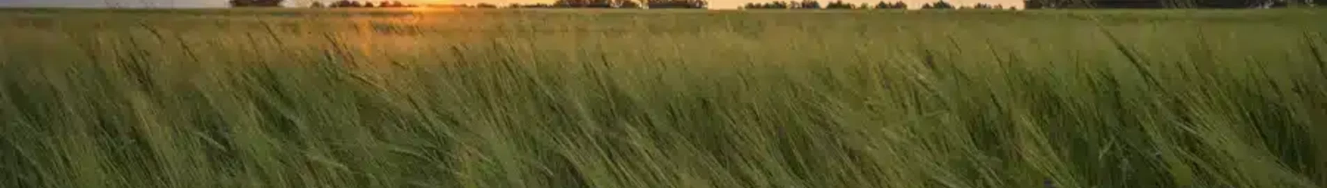 Kemerowo: wynajem prywatnych odrzutowców