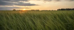 Kemerowo: wynajem prywatnych odrzutowców