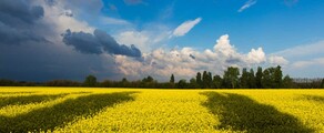 Chmielnicki : wynajem prywatnych odrzutowców