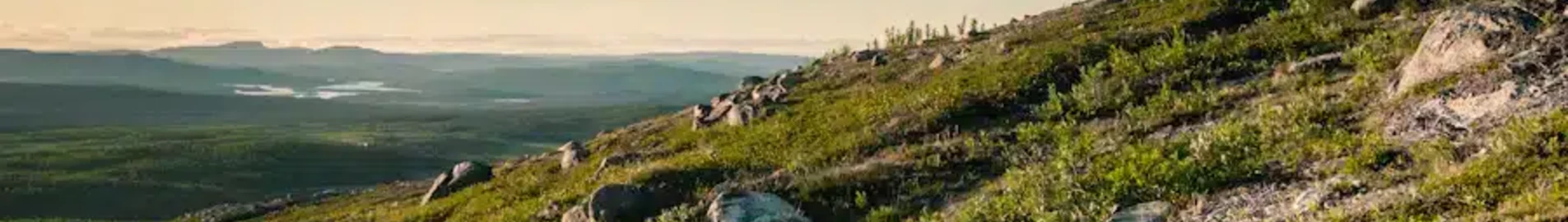 Kiruna : wynajem prywatnych odrzutowców
