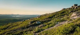 Ljungbyhed : wynajem prywatnych odrzutowców