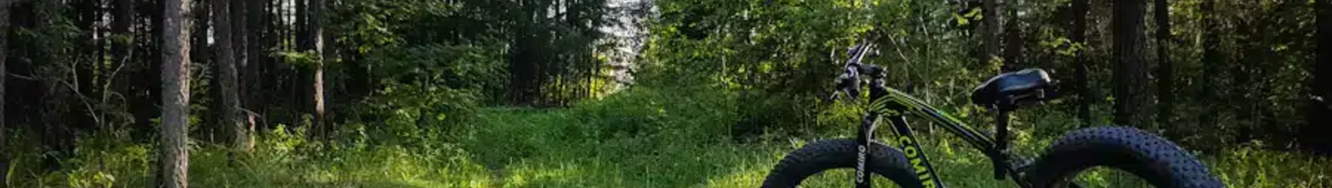 Kurgan : wynajem prywatnych odrzutowców