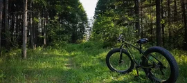 Yuzhny : wynajem prywatnych odrzutowców