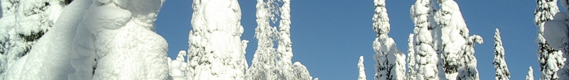 Kuusamo : wynajem prywatnych odrzutowców 
