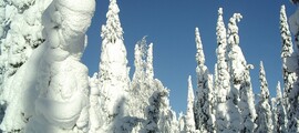 Kuopio : wynajem prywatnych odrzutowców 