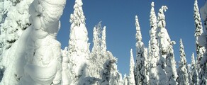 Kuusamo : wynajem prywatnych odrzutowców 