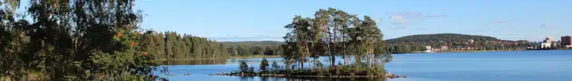 Ludvika: wynajem prywatnych odrzutowców