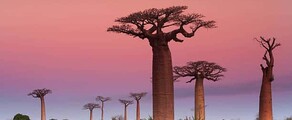Madagaskar: Wynajem prywatnego odrzutowca