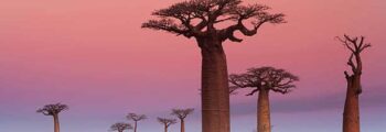 Nigeria : location de jet privé